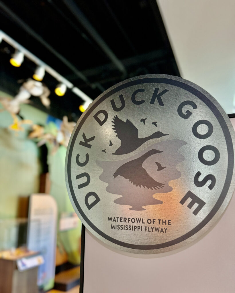 Duck, Duck, Goose exhibit introduction sign.
